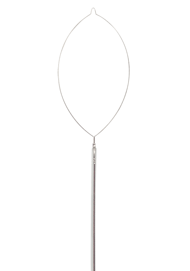 IMG_9139-no bkgd_900x630B