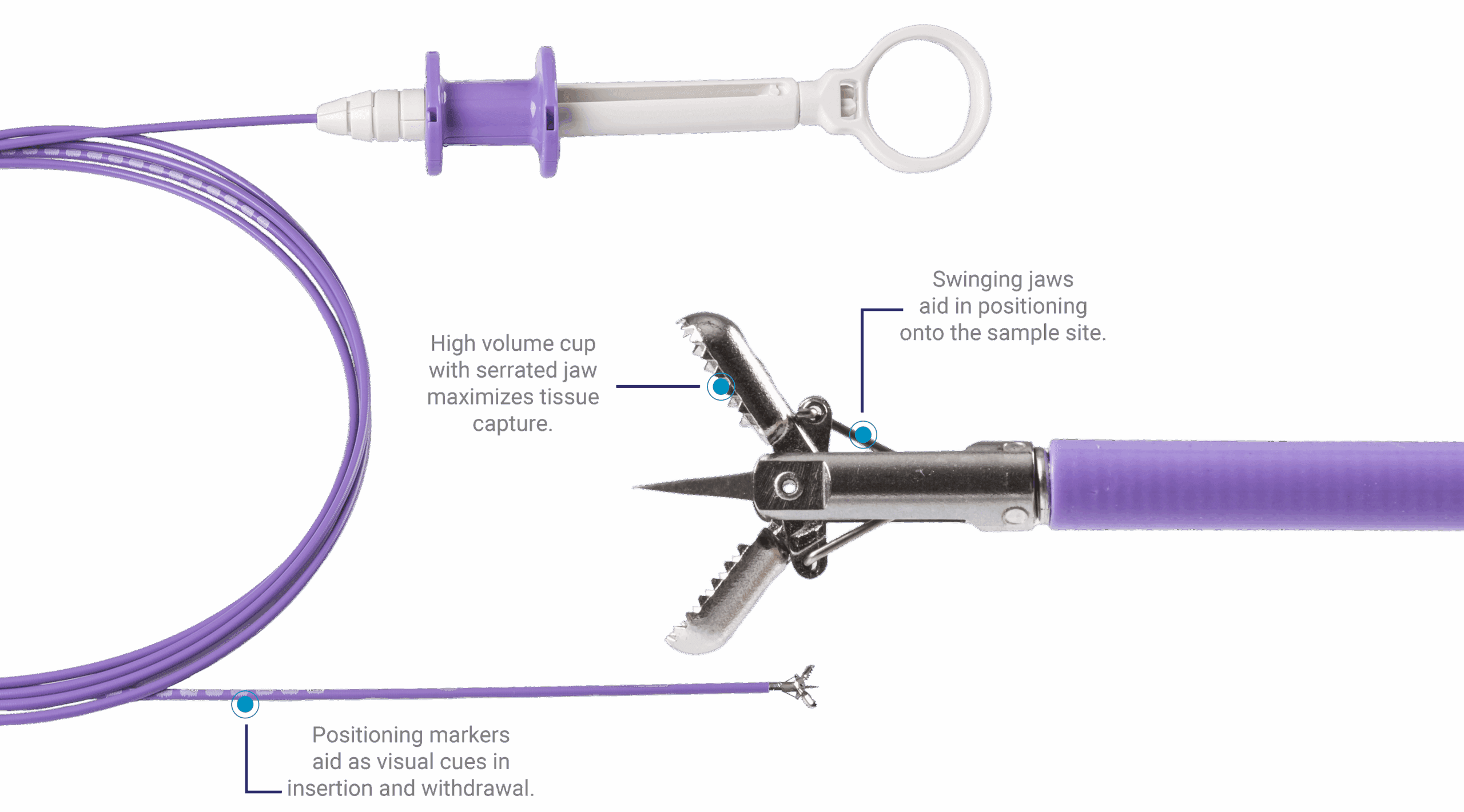 GIJaw Product Highlight3