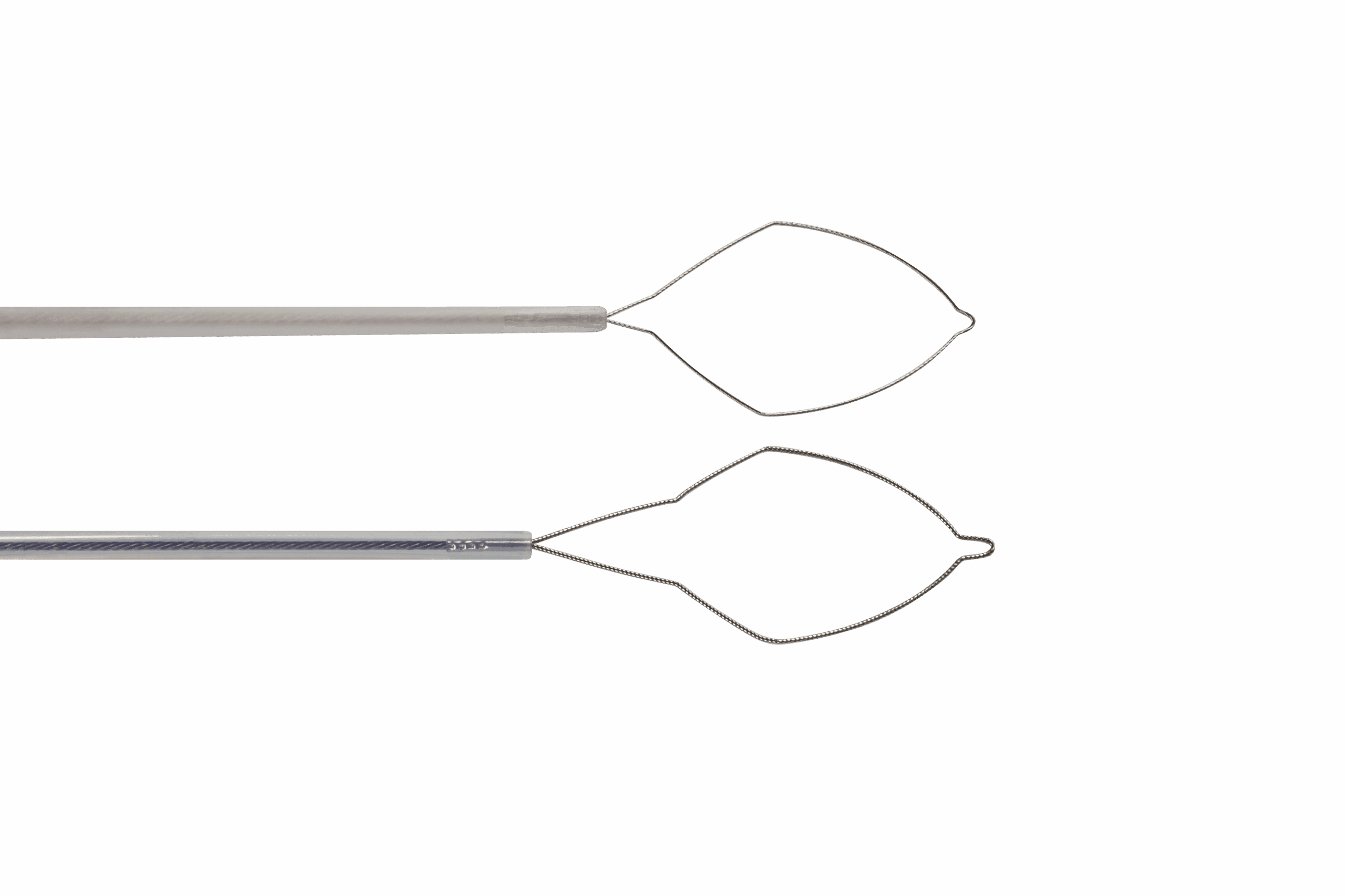 IMG_8286-v2-no bkgd (2)